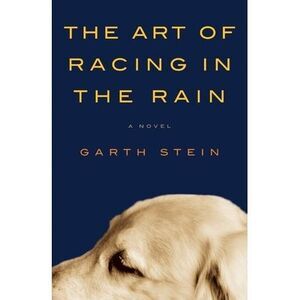 The Art of Racing in the Rain -- Garth Stein